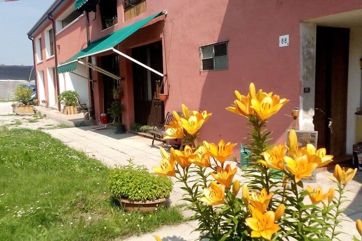 Ecogarden photo 2