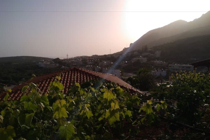 Kavousanos Apartments photo 3