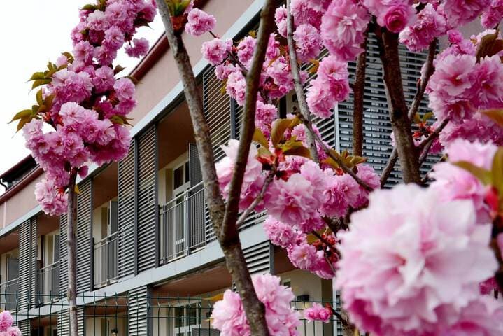 Privilege Apartments photo 5