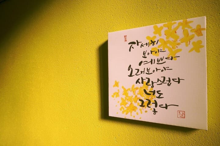 Beluga Guest House Hostel photo 5
