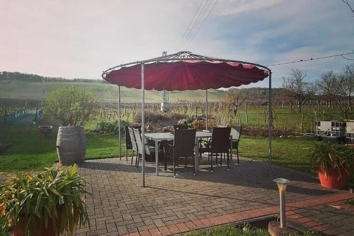 Weingut Tiliahof photo 2