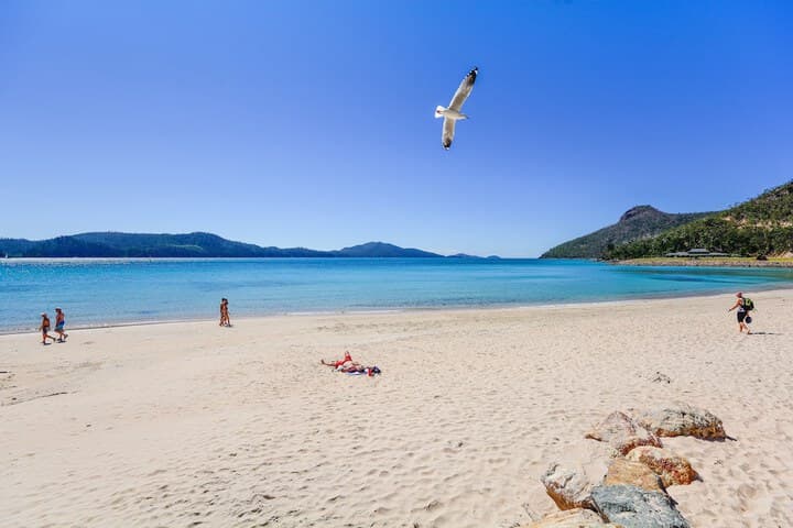 Pinnacle Apartments Hamilton Island photo 5