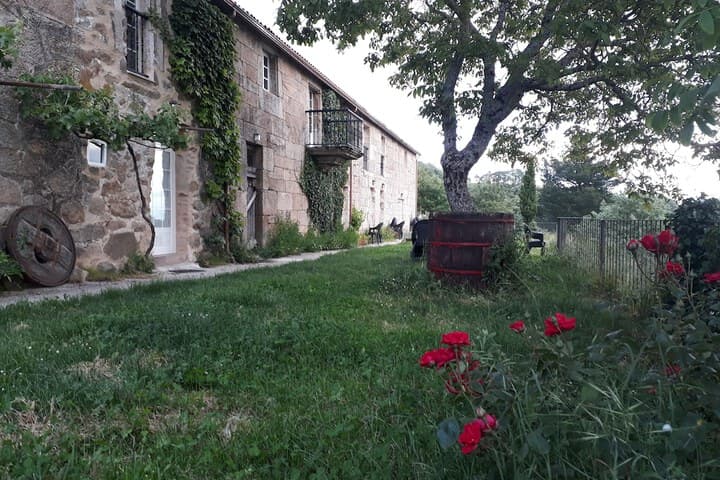 Casa do Comediante photo 2
