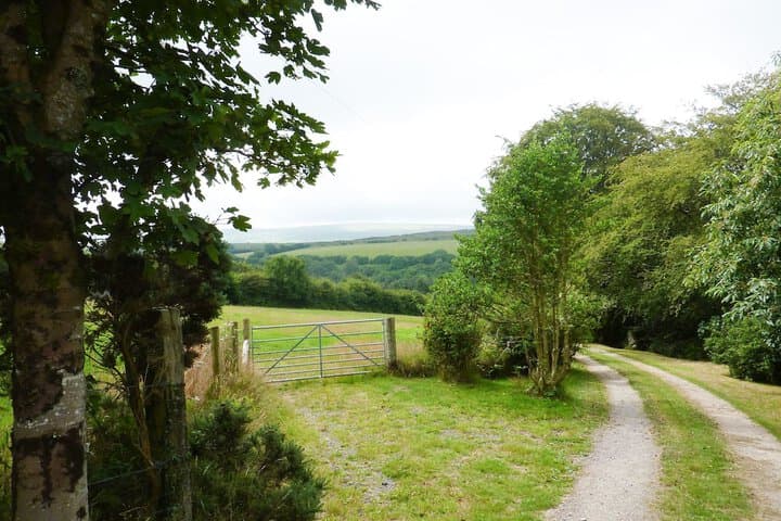 Spring Cottage photo 5