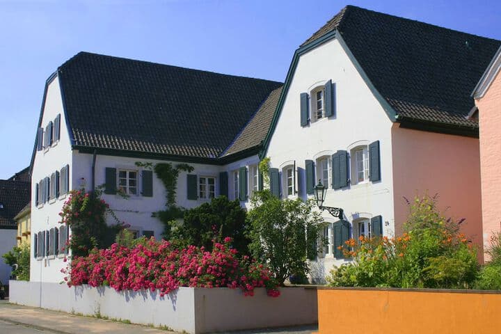 RheinRiver Guesthouse Direkt am Rhein photo 5