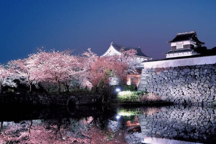 Vacation Rentals AKASAKA photo 4