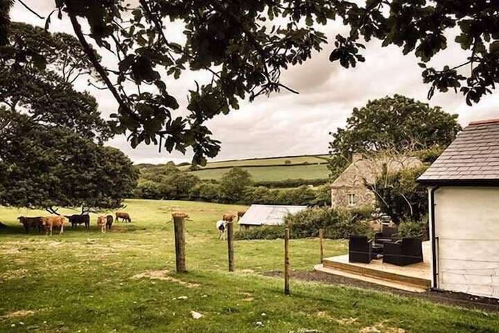 Vine Cottage photo 2