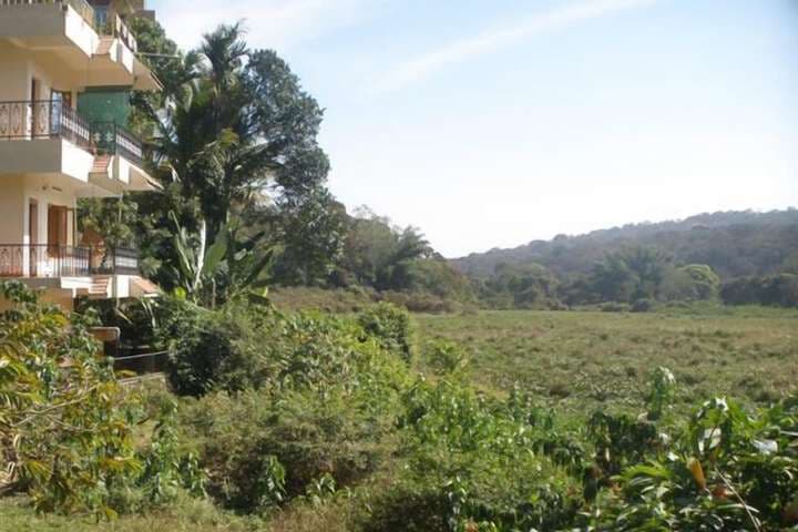 Jungle Palace Homestay photo 3