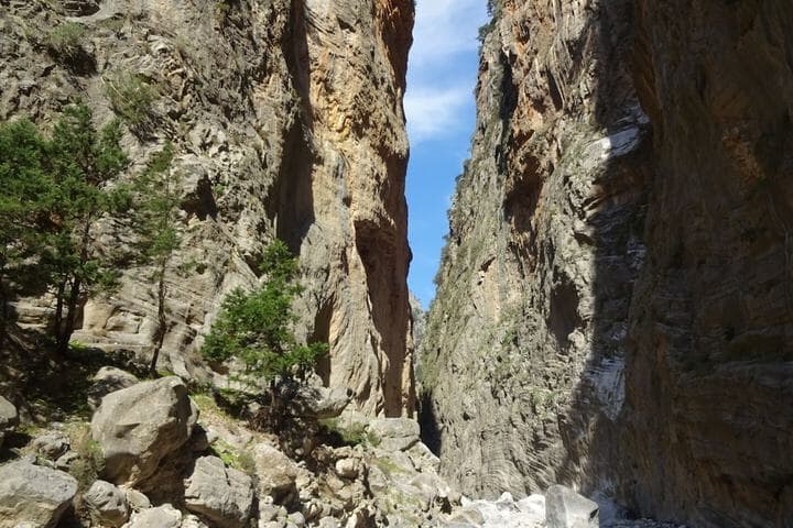 Gigilos photo 4