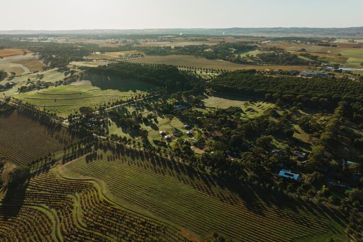 CANVS by CABN Seppeltsfield Barossa photo 2