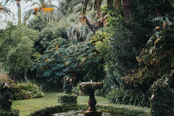 Villa della Pergola photo 3