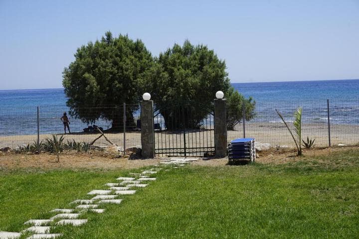 Nicholas Beach Studios photo 4