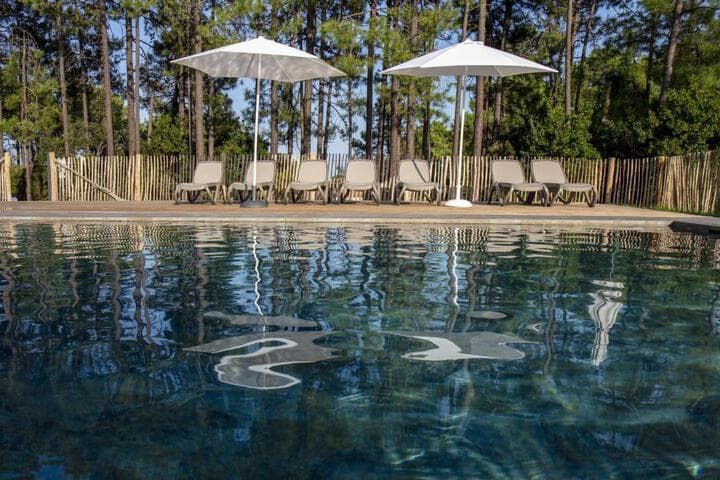 Domaine de Pianiccia photo 5