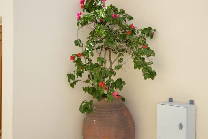 Margo Studios photo 2