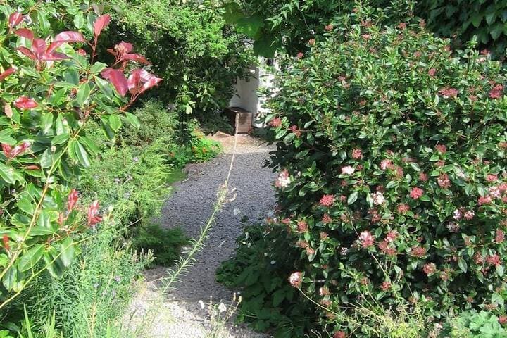 Steps Farmhouse photo 4