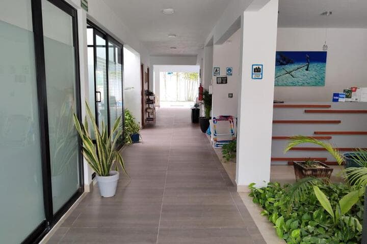 Velas Condos Ocean Front photo 2