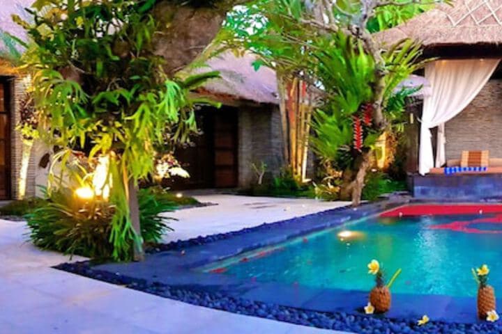 The Zala Villa photo 4