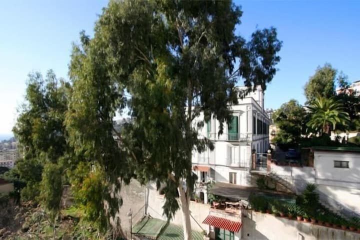 Franca photo 2