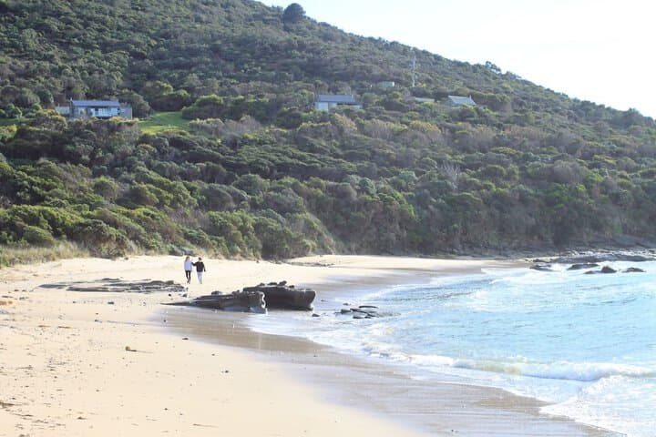 Points South by The Sea photo 3