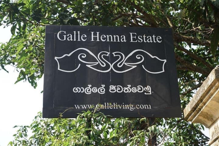 Galle Henna Estate photo 3