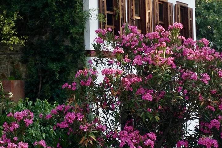 Terrace Houses Sirince Fig Olive Clockmakers&Grapevine photo 2