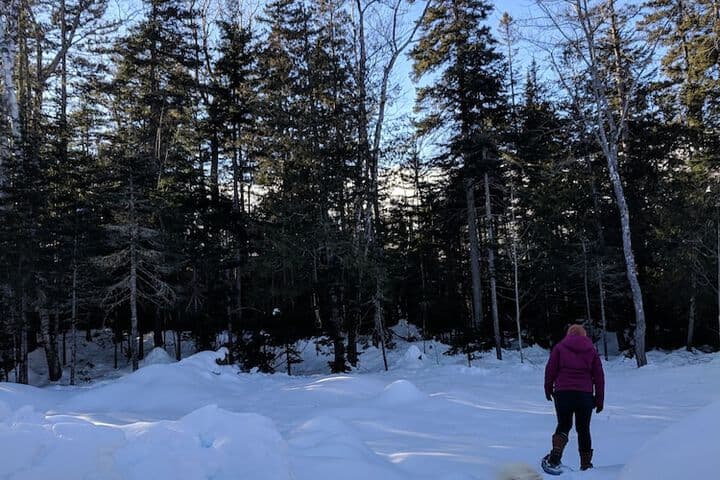 Hostel of Maine photo 2