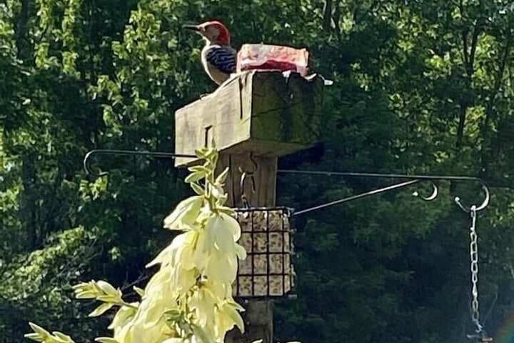 The Sanctuary on Huron River photo 2