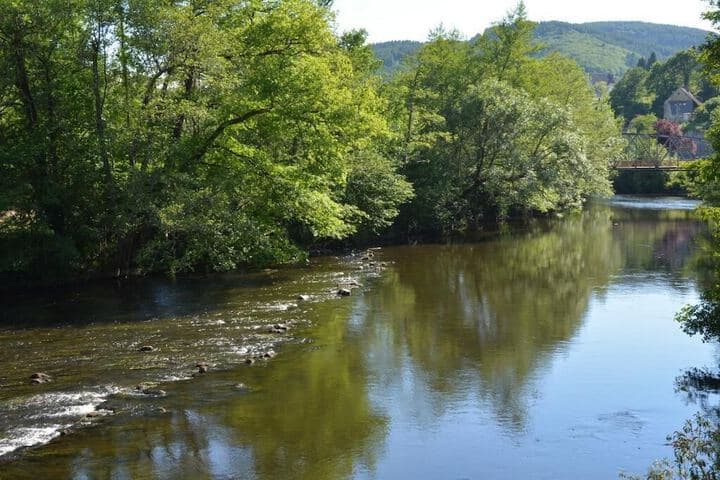 Chambres d Hotes du Moulin de Lachaux photo 3