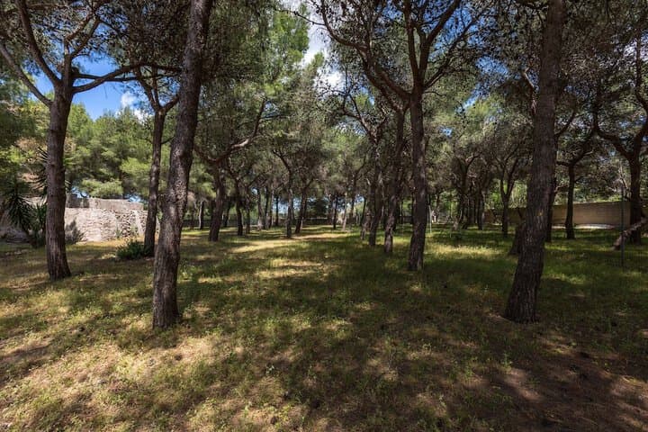 Villetta La Pineta photo 4