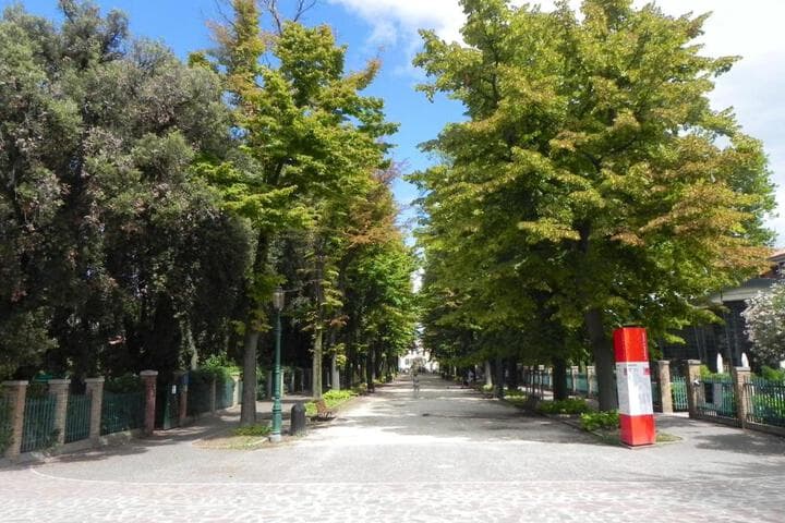 Biennale 252 photo 4