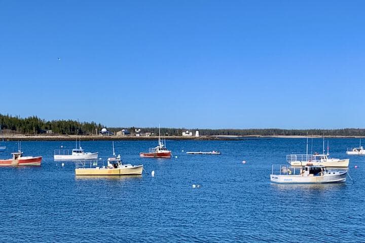 Elsas Inn on the Harbor photo 2