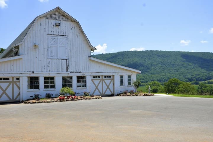 Mountain Cove Farms Resort photo 4