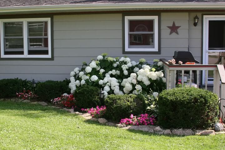Rainbow Ridge Farms B&B photo 2