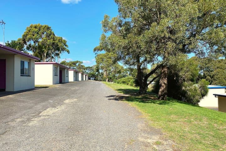 Limestone Coast Tourist Park photo 3
