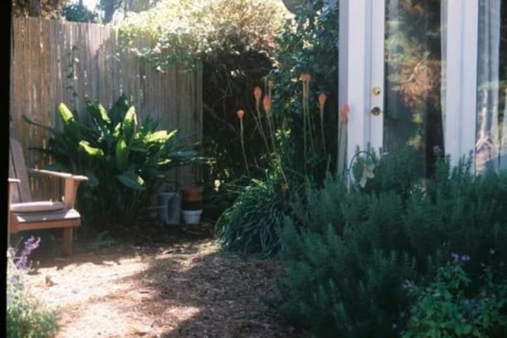 Dreydon House B&B photo 3