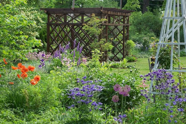 Vintage Gardens Bed & Breakfast photo 2