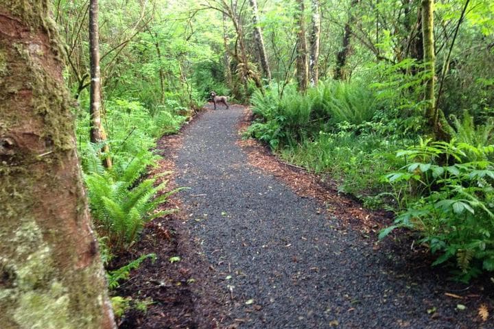 Sheltered Nook on Tillamook Bay photo 3