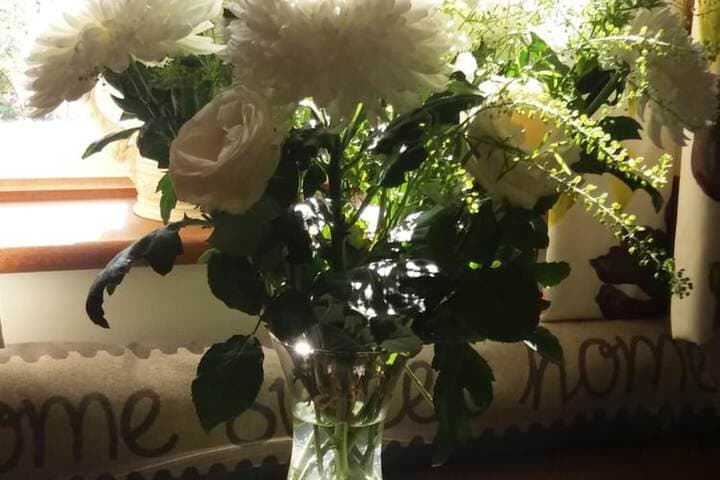 Windylands Bed&Breakfast photo 5
