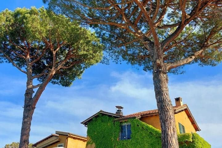 Hotel Selva Candida photo 2