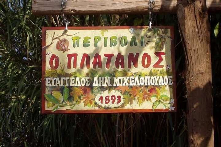 Hotel Naxos Filoxenia photo 5