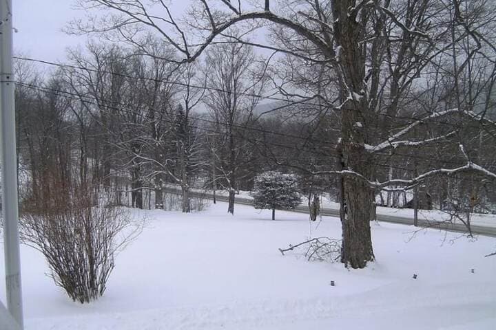Locust Tree Bed&Breakfast LLC photo 5