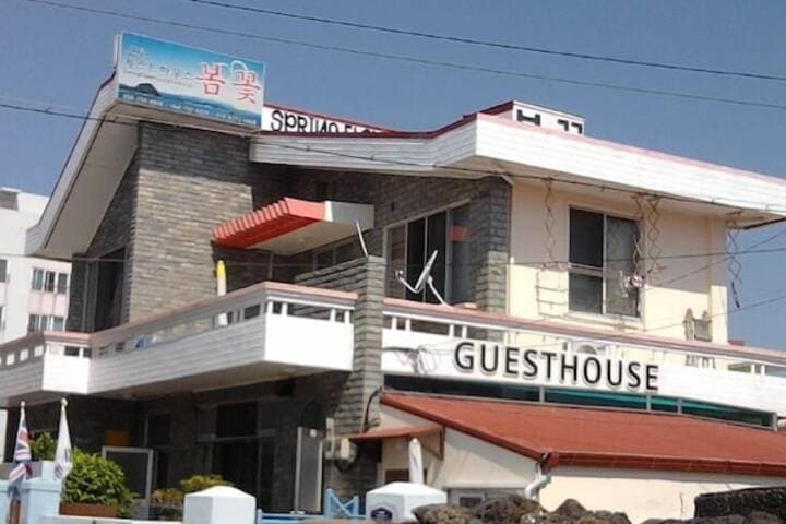 Springflower Guesthouse Hostel photo 4