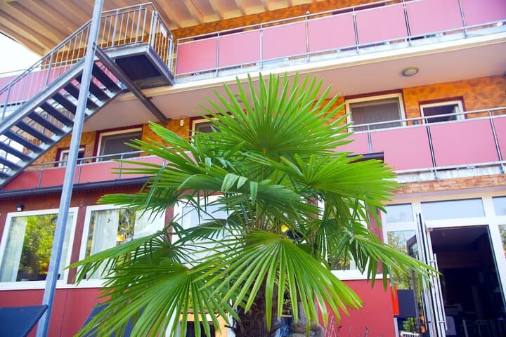 Gaestehaus Parkblick photo 5