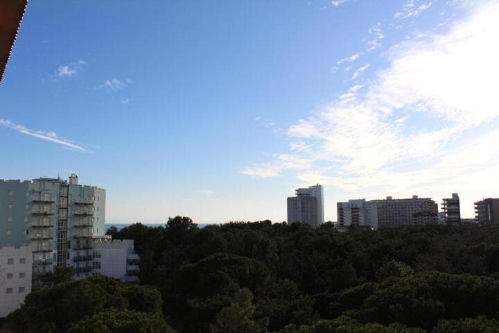 Luna photo 2