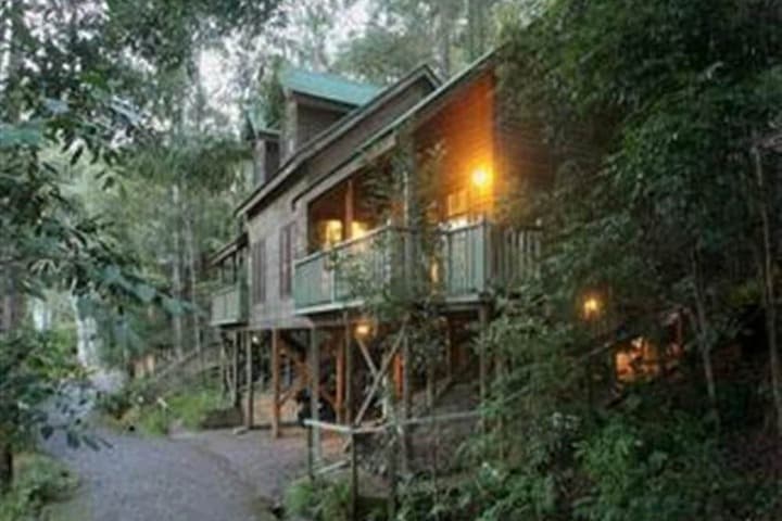 Barrington Wilderness Cedar Lodge Accommodation photo 4