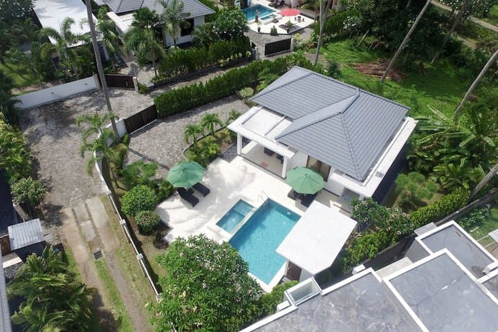 Dream Estate photo 3