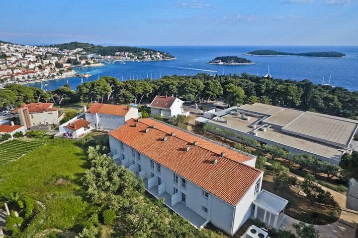 Violeta Hvar photo 5