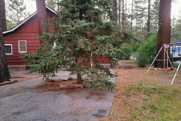 Myrtle Chalet photo 2