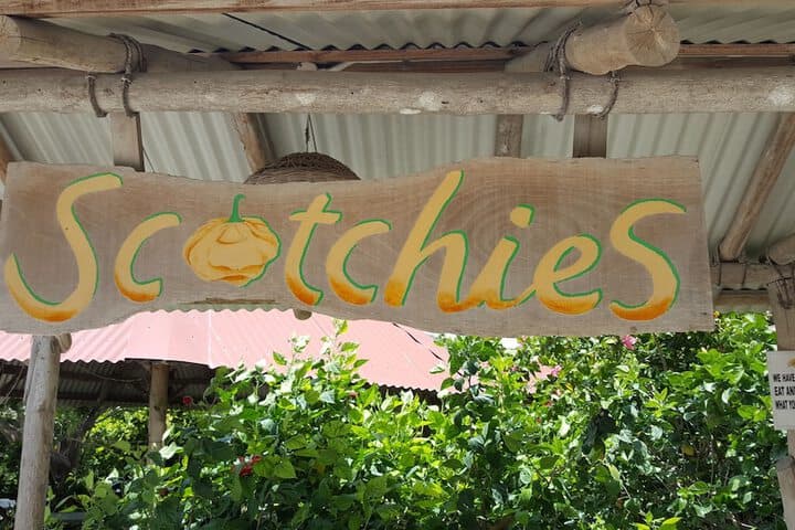 Ocho Rios Villa at Coolshade III photo 3