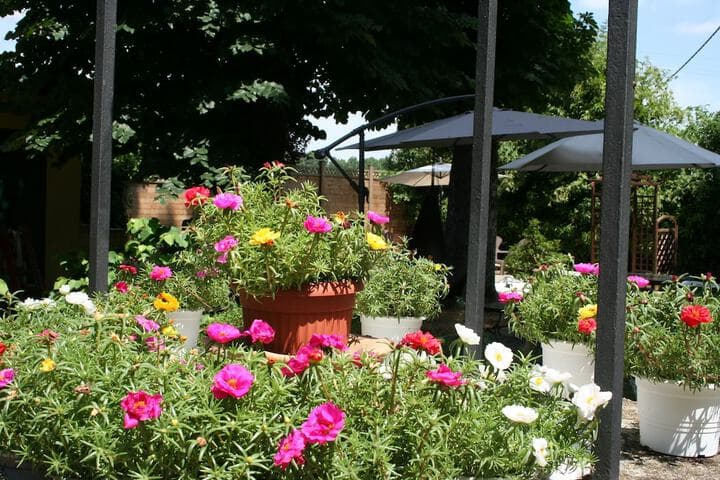 Residence Alle Scuole photo 3